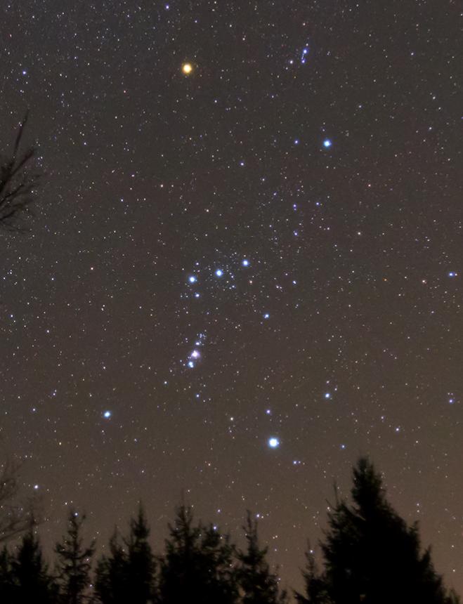 Betelgeuse is the bright orange star seen near the top. It marks one of the shoulders of Orion. Image Credit: Wikimedia