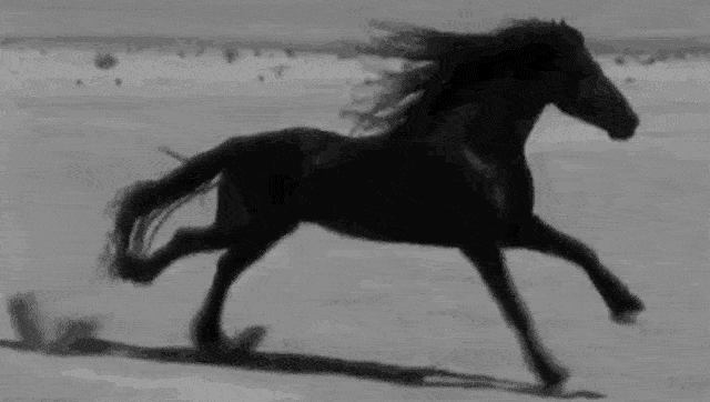 How we perceive reality and time