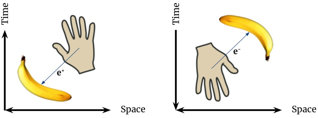 Conventionally, we say the banana emits a positron which strikes our hand. But Ernst Stueckelberg and Richard Feynman would say it is an equally valid description to say our hand emits an electron that travels backwards through time to the banana.