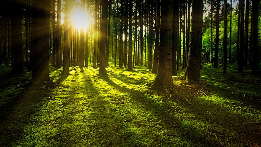 Among possible universes, ours is among the rare few that permit life.
