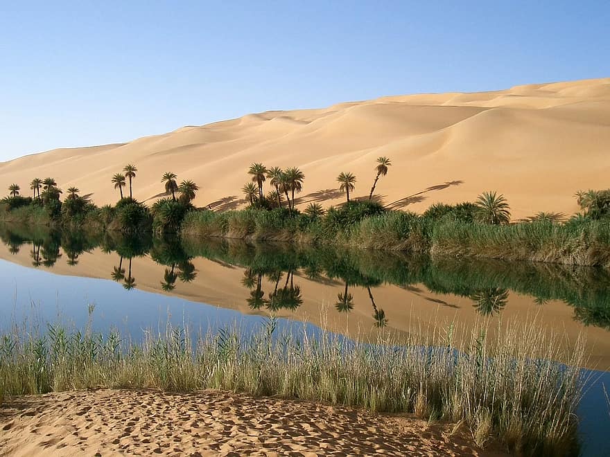 The places where life is possible may be few and far between. But wherever life exists, it is only found in places where it is possible for life to exist. This applies whether it in a life-possible universe, on a hospitable planet, or by a pool of water in a vast desert.