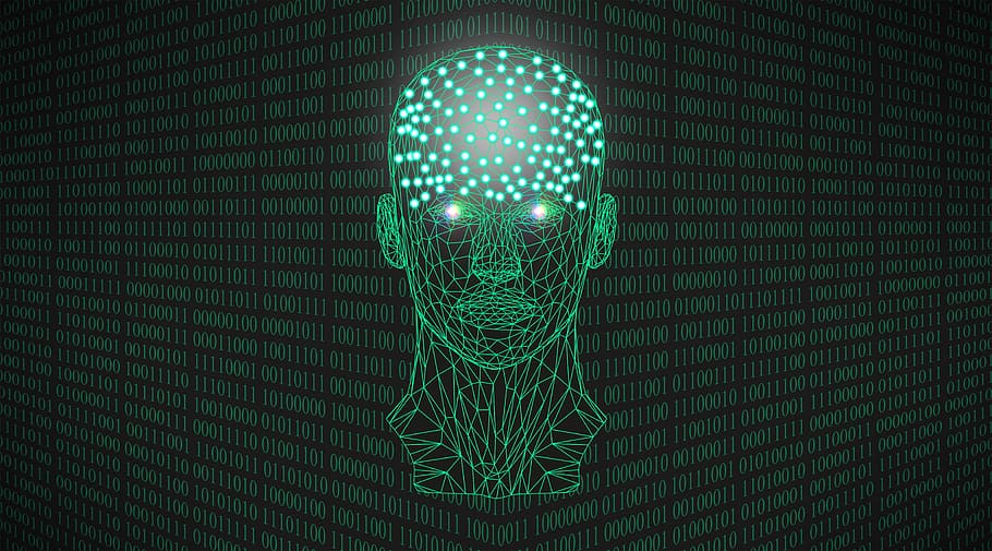 Does information somehow form the bedrock of reality?